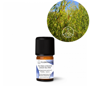 Florihana Sitron Tetre (Lemon Tea Tree) eterisk olje, økologisk, 100% ren og naturlig