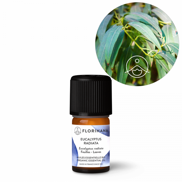 Florihana Eukalyptus Radiata eterisk olje, økologisk, 100% ren og naturlig