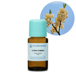 Florihana Litsea Cubeba (May Chang) eterisk olje, økologisk, 100% ren og naturlig