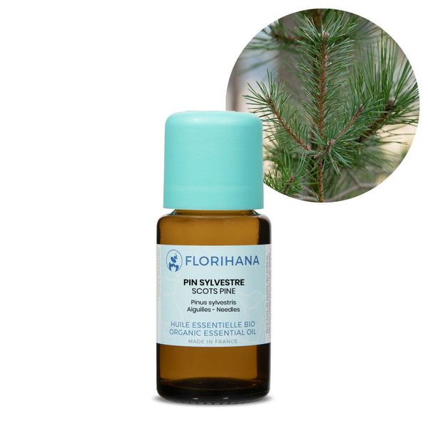 Florihana Furu (Pinus sylvestris) eterisk olje, økologisk, 100% ren og naturlig
